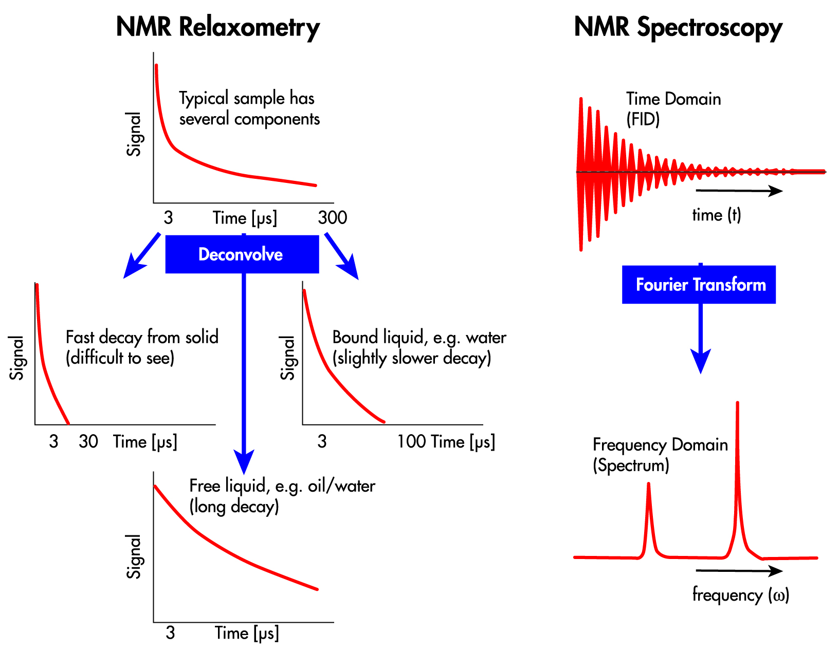 benchtop nmr spectroscopy scientist live nmr spectroscopy